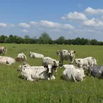 Hébergement de vacances La Maison Jaune *