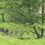 La Maison Jaune Hébergement de vacances