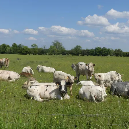 Ferienhaus La Maison Jaune *