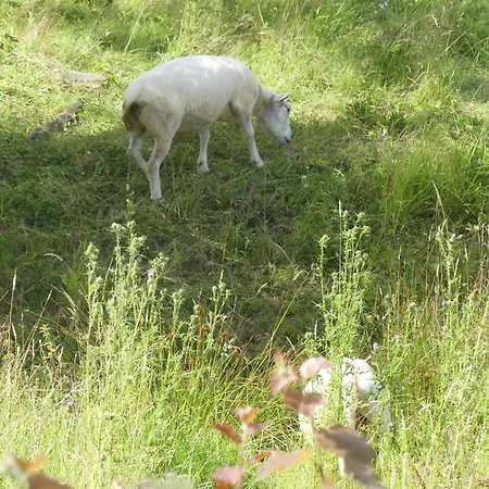 Ferienhaus La Maison Jaune *
