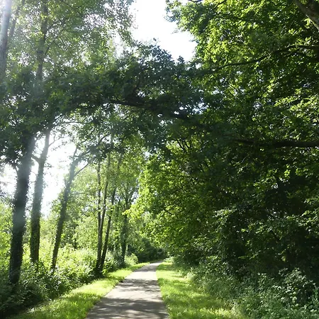 La Maison Jaune * סנט - ססיל