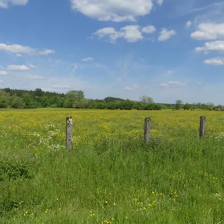 Ferienhaus La Maison Jaune *