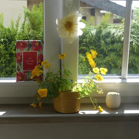 Ferienhaus La Maison Jaune