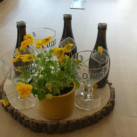 La Maison Jaune בית נופש סנט - ססיל